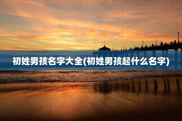 初姓男孩名字大全(初姓男孩起什么名字)