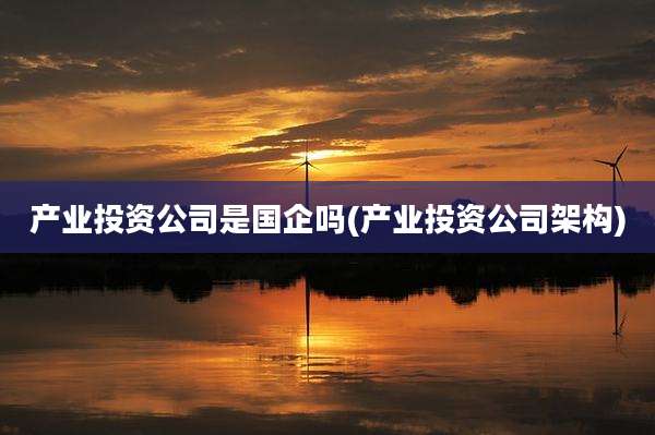 产业投资公司是国企吗(产业投资公司架构)