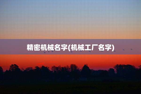精密机械名字(机械工厂名字)
