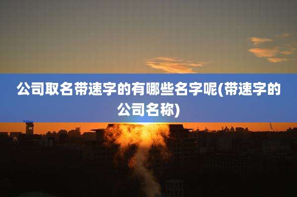 公司取名带速字的有哪些名字呢(带速字的公司名称)