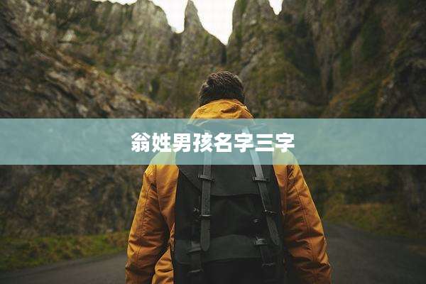 翁姓男孩名字三字