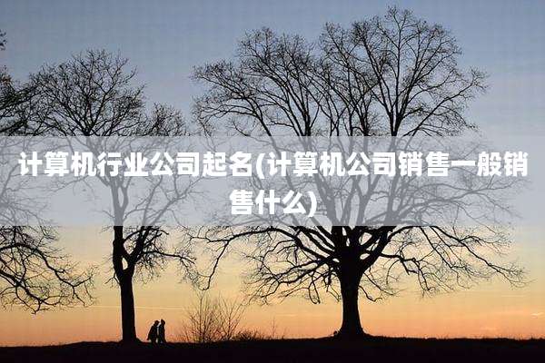 计算机行业公司起名(计算机公司销售一般销售什么)