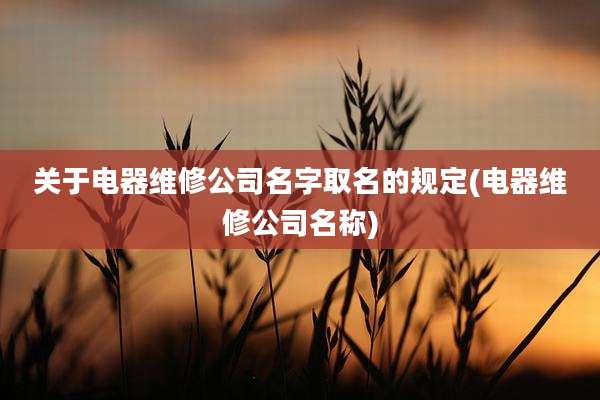 关于电器维修公司名字取名的规定(电器维修公司名称)