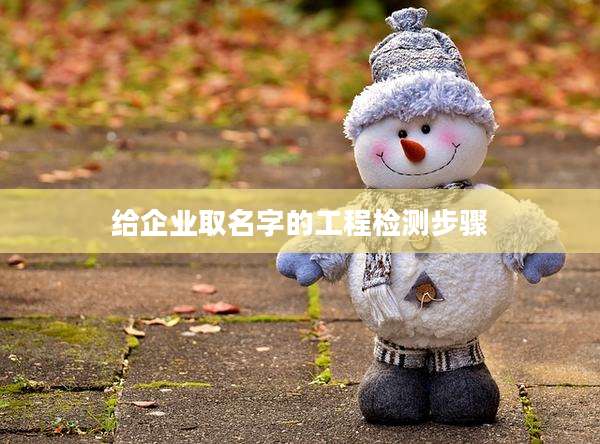 给企业取名字的工程检测步骤