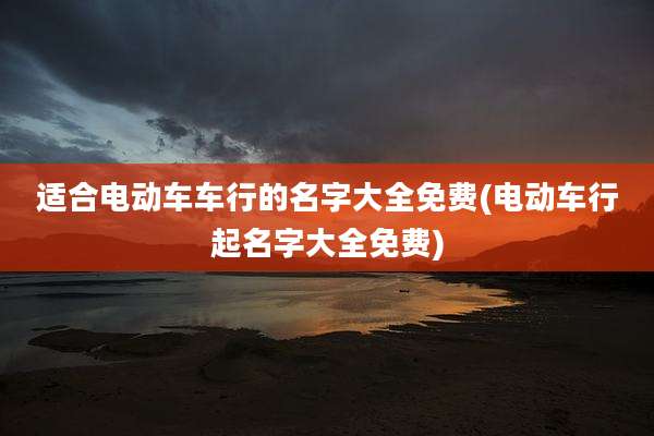 适合电动车车行的名字大全免费(电动车行起名字大全免费)