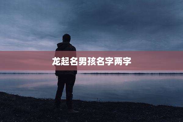 龙起名男孩名字两字