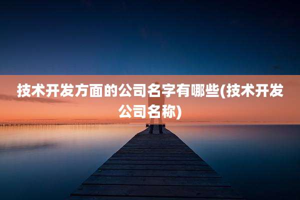 技术开发方面的公司名字有哪些(技术开发公司名称)