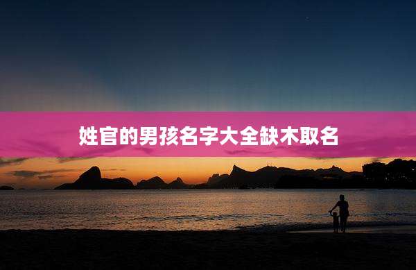 姓官的男孩名字大全缺木取名
