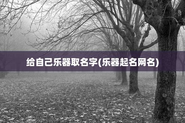 给自己乐器取名字(乐器起名网名)