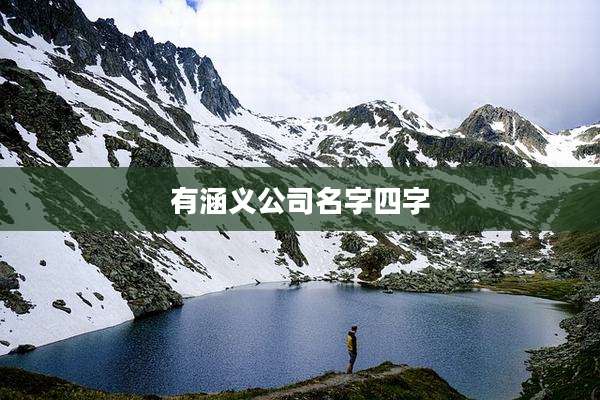 有涵义公司名字四字