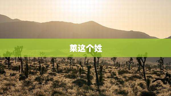 莱这个姓