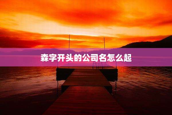 森字开头的公司名怎么起
