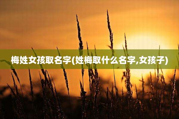 梅姓女孩取名字(姓梅取什么名字,女孩子)