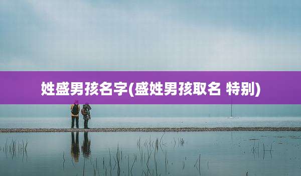 姓盛男孩名字(盛姓男孩取名 特别)