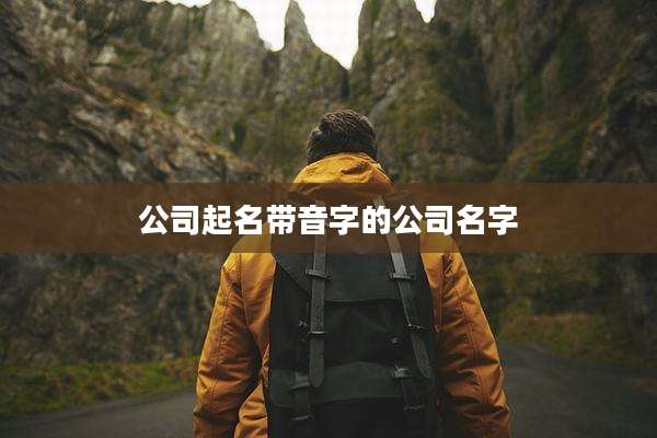 公司起名带音字的公司名字