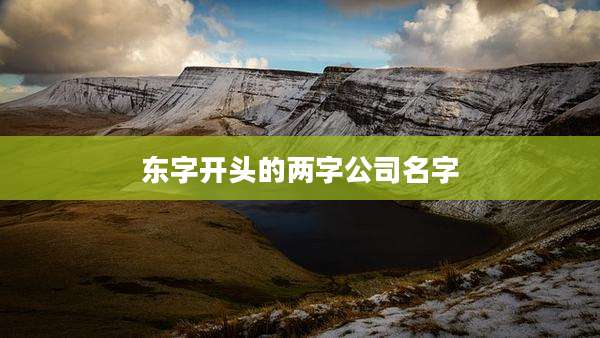 东字开头的两字公司名字