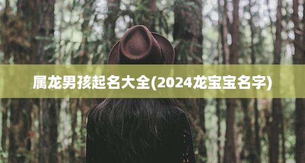 属龙男孩起名大全(2024龙宝宝名字)