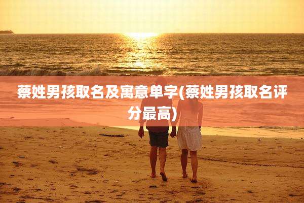 蔡姓男孩取名及寓意单字(蔡姓男孩取名评分最高)