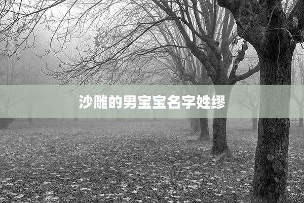 沙雕的男宝宝名字姓缪
