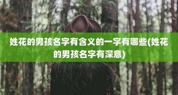 姓花的男孩名字有含义的一字有哪些(姓花的男孩名字有深意)
