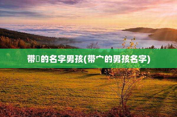 带垚的名字男孩(带宀的男孩名字)