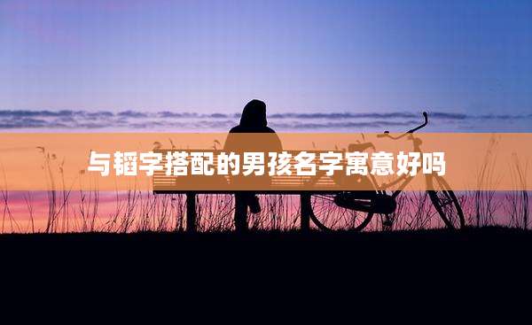 与韬字搭配的男孩名字寓意好吗