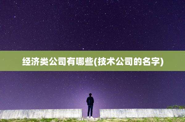经济类公司有哪些(技术公司的名字)
