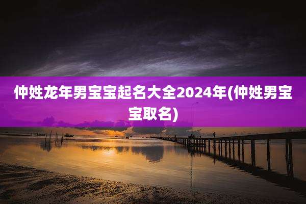 仲姓龙年男宝宝起名大全2024年(仲姓男宝宝取名)