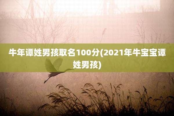 牛年谭姓男孩取名100分(2021年牛宝宝谭姓男孩)