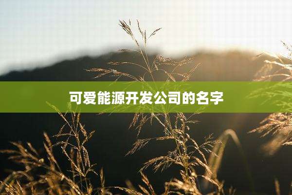 可爱能源开发公司的名字