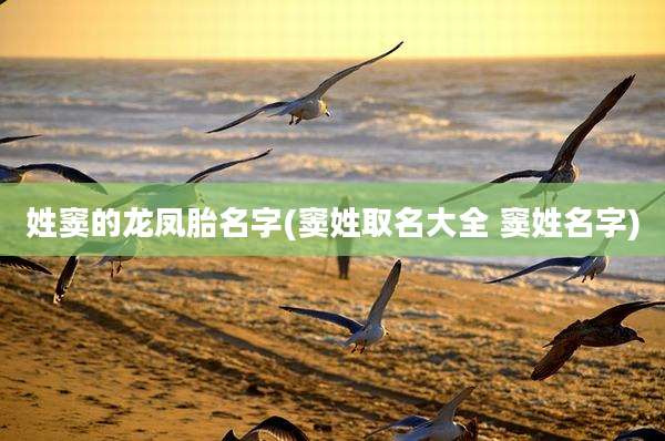 姓窦的龙凤胎名字(窦姓取名大全 窦姓名字)