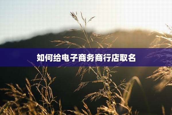 如何给电子商务商行店取名