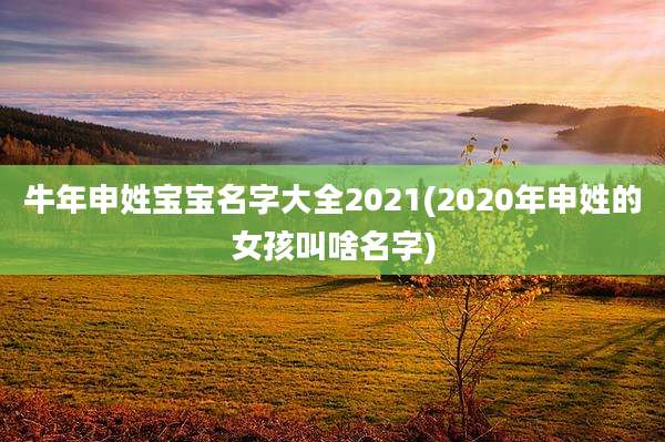 牛年申姓宝宝名字大全2021(2020年申姓的女孩叫啥名字)