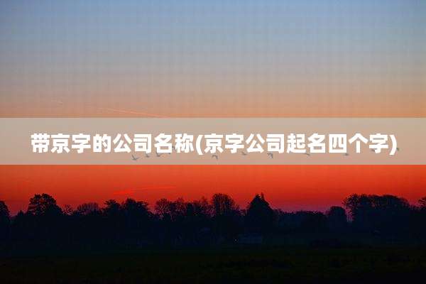带京字的公司名称(京字公司起名四个字)