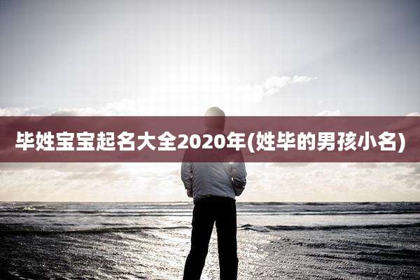 毕姓宝宝起名大全2020年(姓毕的男孩小名)