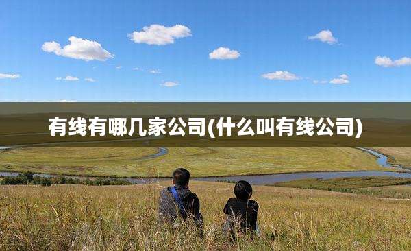 有线有哪几家公司(什么叫有线公司)