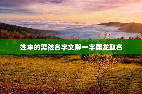姓丰的男孩名字文静一字属龙取名