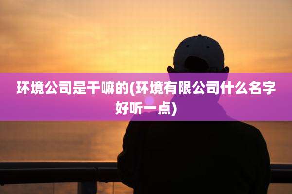 环境公司是干嘛的(环境有限公司什么名字好听一点)