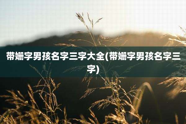 带姗字男孩名字三字大全(带姗字男孩名字三字)