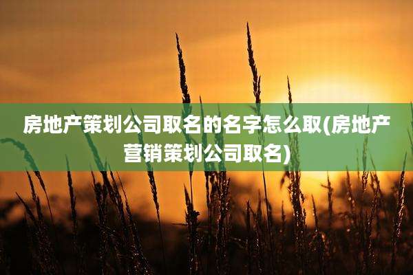 房地产策划公司取名的名字怎么取(房地产营销策划公司取名)