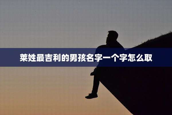 莱姓最吉利的男孩名字一个字怎么取