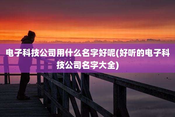 电子科技公司用什么名字好呢(好听的电子科技公司名字大全)