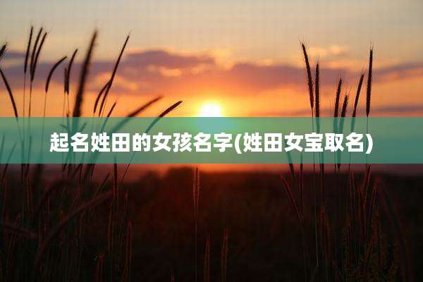 起名姓田的女孩名字(姓田女宝取名)