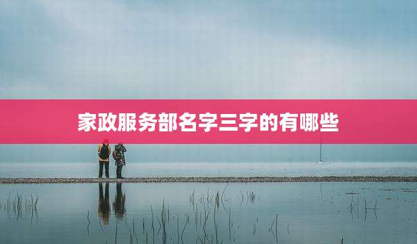 家政服务部名字三字的有哪些