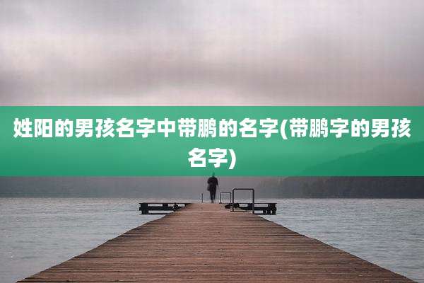 姓阳的男孩名字中带鹏的名字(带鹏字的男孩名字)