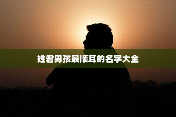 姓君男孩最顺耳的名字大全