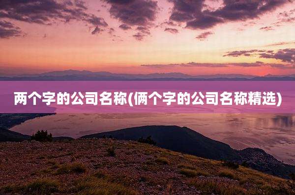 两个字的公司名称(俩个字的公司名称精选)