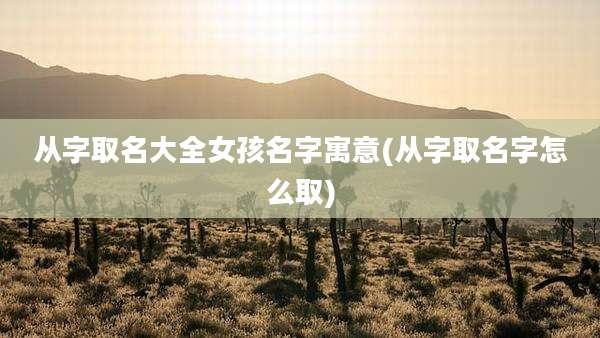 从字取名大全女孩名字寓意(从字取名字怎么取)