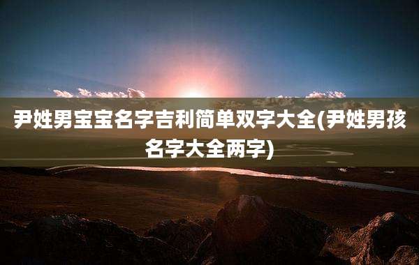 尹姓男宝宝名字吉利简单双字大全(尹姓男孩名字大全两字)