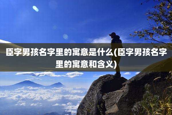 臣字男孩名字里的寓意是什么(臣字男孩名字里的寓意和含义)